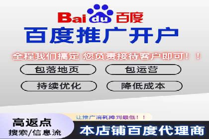 某电商平台sem竞价运营的突破与挑战